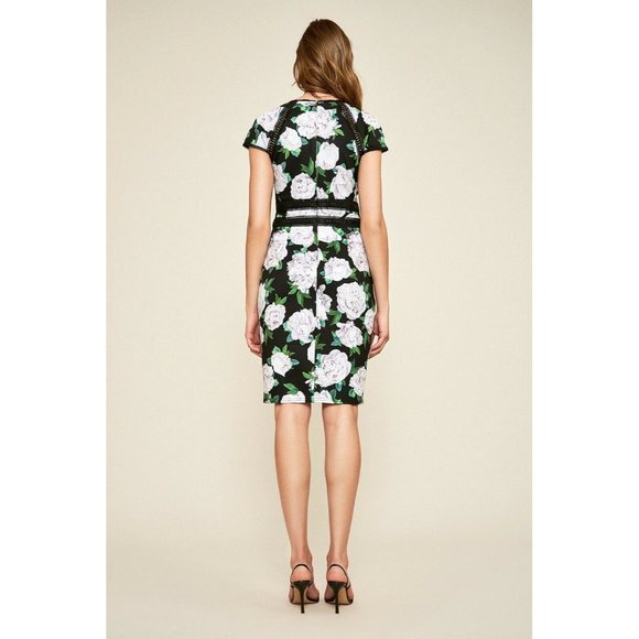 Tadashi Shoji Dress Size 12 Floral Short Sleeve NEW $368 Indigo Floral Neoprene - Picture 2 of 8